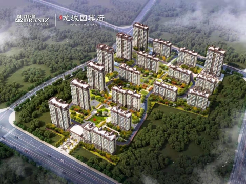 九巨龍龍城.國尊府